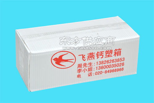 鈣塑瓦楞箱與飛燕塑膠制品 深圳與佛山兩大生產基地的對比與產品展示